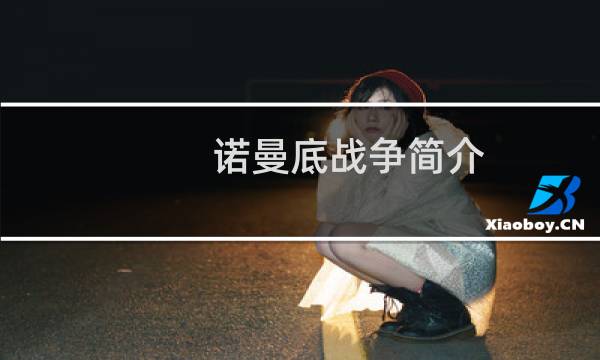 诺曼底战争简介