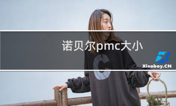 诺贝尔pmc大小