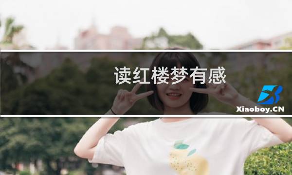 读红楼梦有感