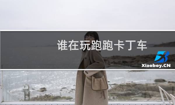 谁在玩跑跑卡丁车