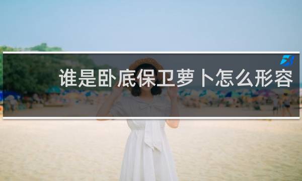 谁是卧底保卫萝卜怎么形容