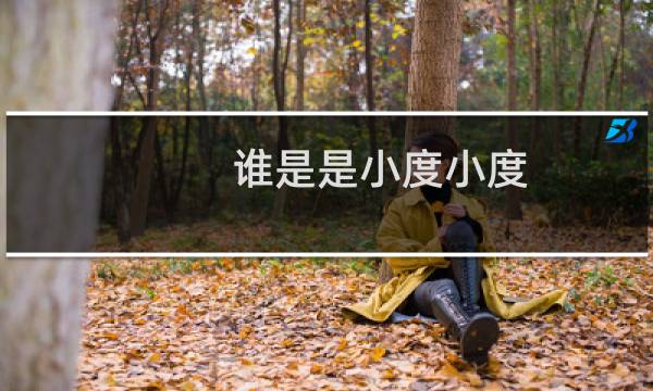 谁是是小度小度
