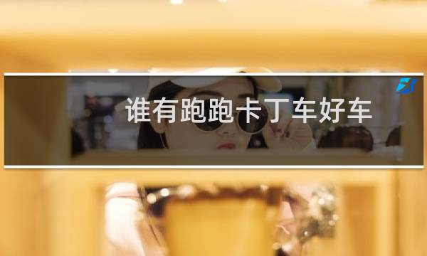 谁有跑跑卡丁车好车