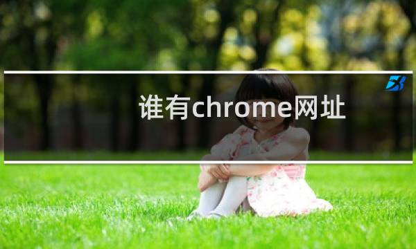 谁有chrome网址