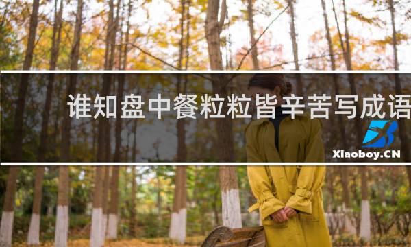 谁知盘中餐粒粒皆辛苦写成语