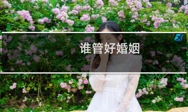 谁管好婚姻