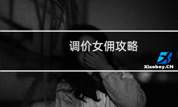 调价女佣攻略