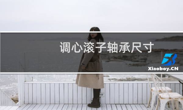 调心滚子轴承尺寸