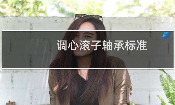 调心滚子轴承标准