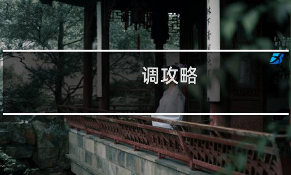 调攻略