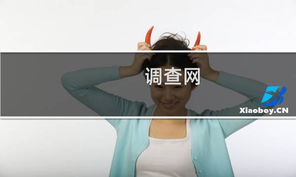 调查网 攻略