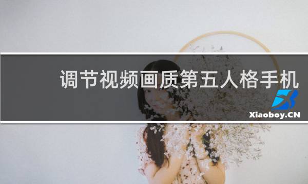 调节视频画质第五人格手机