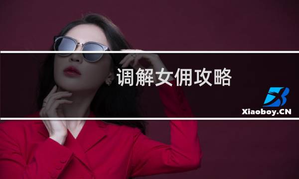 调解女佣攻略