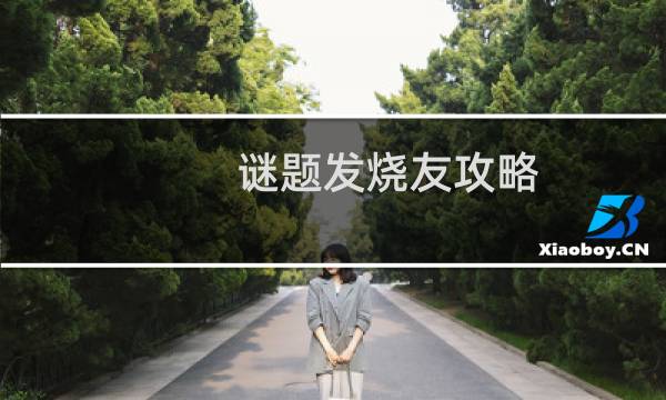 谜题发烧友攻略