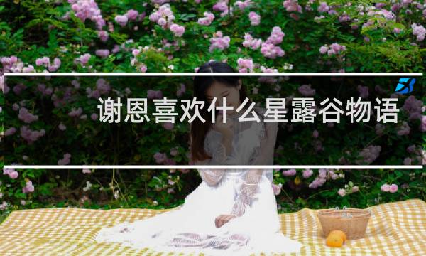 谢恩喜欢什么星露谷物语