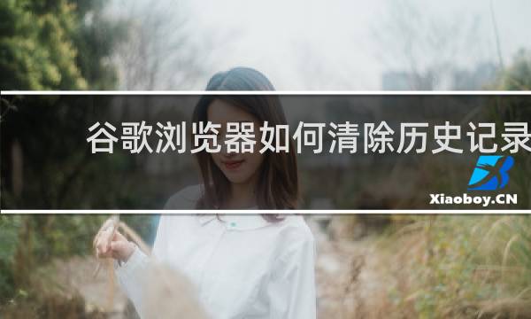 谷歌浏览器如何清除历史记录