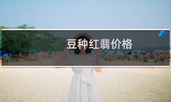 豆种红翡价格