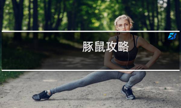 豚鼠攻略