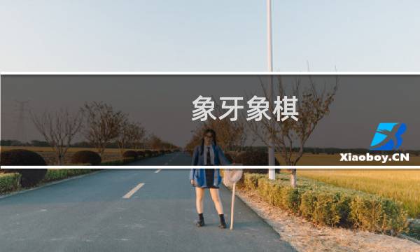 象牙象棋 价格
