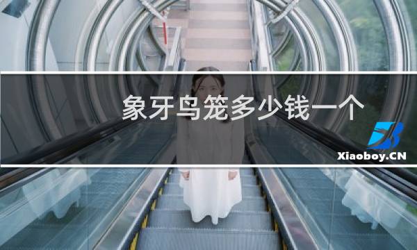象牙鸟笼多少钱一个