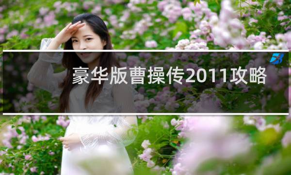 豪华版曹操传2011攻略
