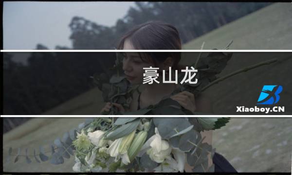 豪山龙 攻略