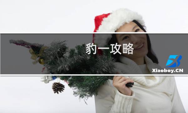 豹一攻略