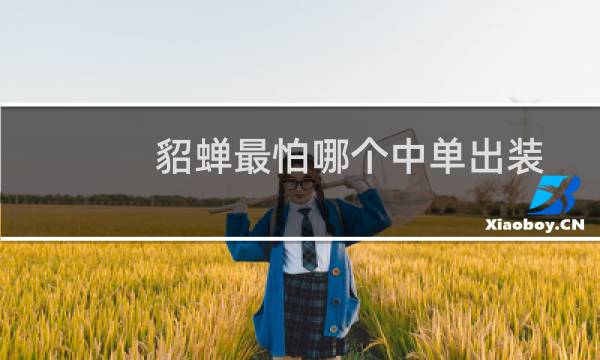 貂蝉最怕哪个中单出装