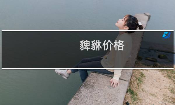 貏貅价格