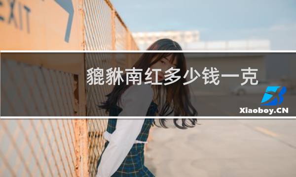 貔貅南红多少钱一克