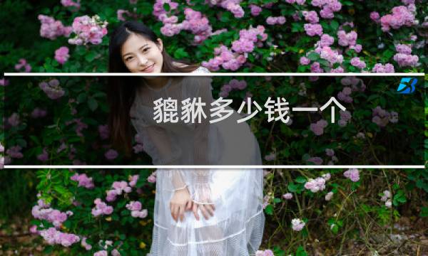 貔貅多少钱一个