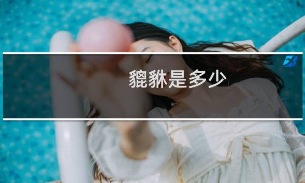 貔貅是多少