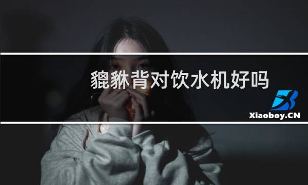 貔貅背对饮水机好吗