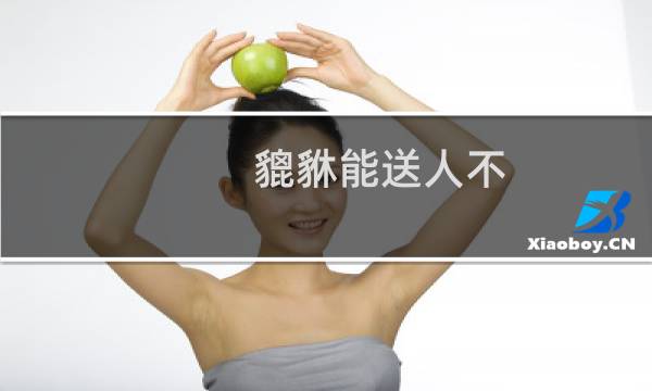 貔貅能送人不