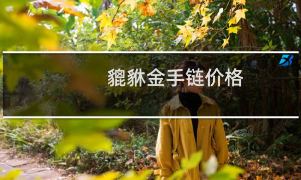 貔貅金手链价格