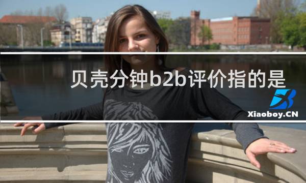 贝壳分钟b2b评价指的是