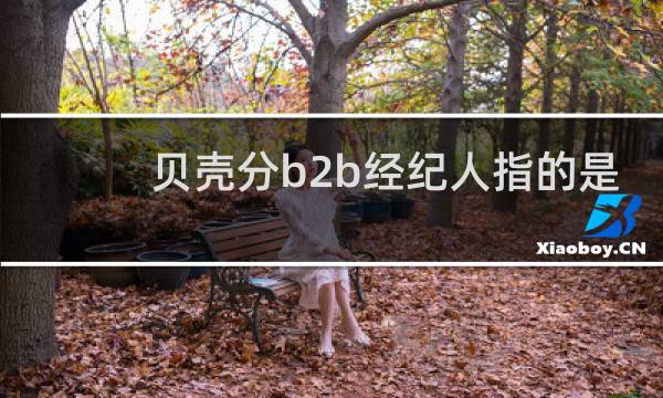 贝壳分b2b经纪人指的是