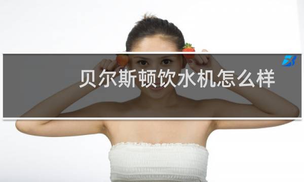 贝尔斯顿饮水机怎么样