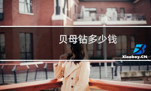 贝母钻多少钱