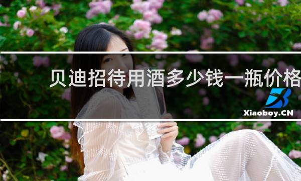 贝迪招待用酒多少钱一瓶价格