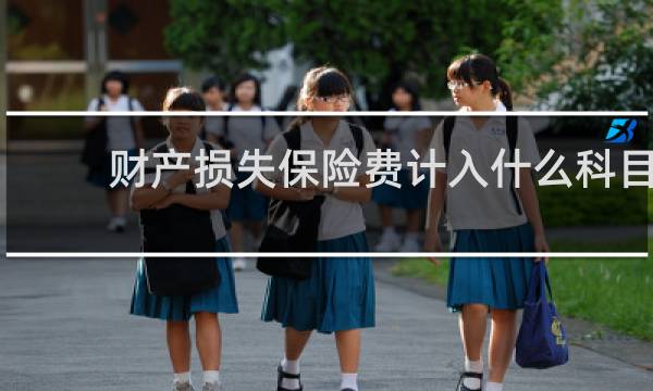 财产损失保险费计入什么科目