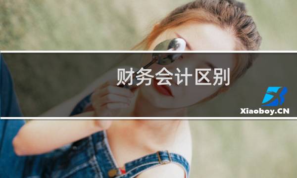 财务会计区别