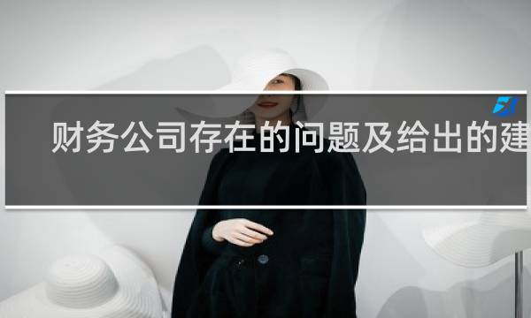 财务公司存在的问题及给出的建议