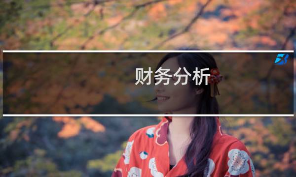 财务分析