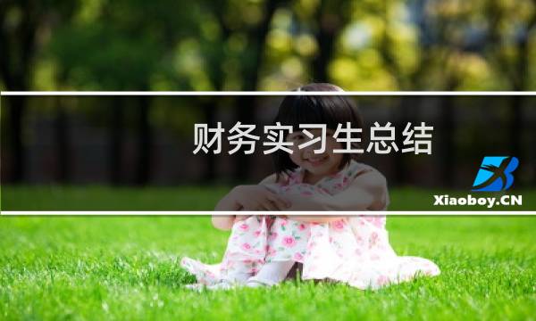 财务实习生总结