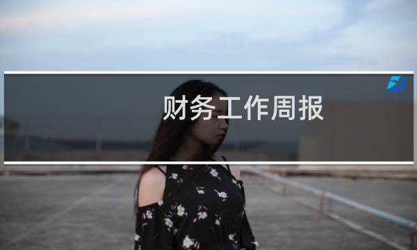 财务工作周报