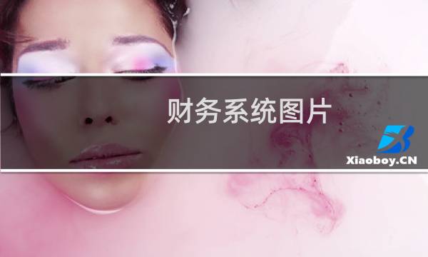 财务系统图片