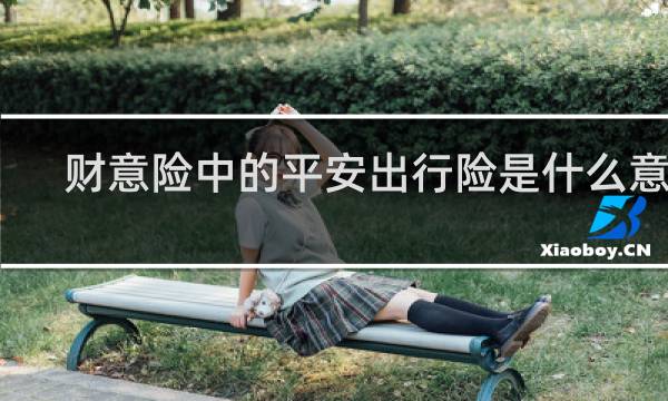 财意险中的平安出行险是什么意思
