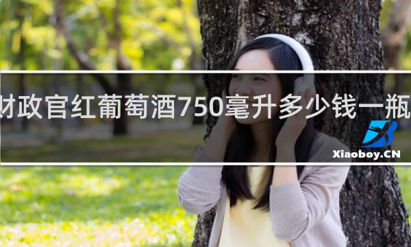 财政官红葡萄酒750毫升多少钱一瓶法国的