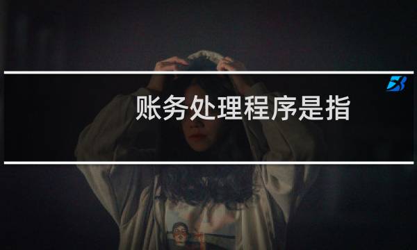 账务处理程序是指